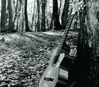 Guitarra en el bosque - thumbnail